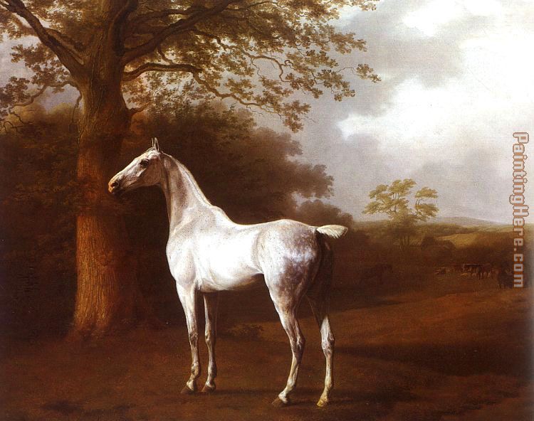 White Horse in Pasture painting - Jacques Laurent Agasse White Horse in Pasture art painting
